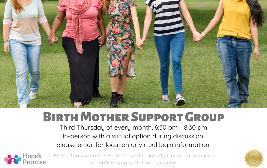 Birth Mom Support Group